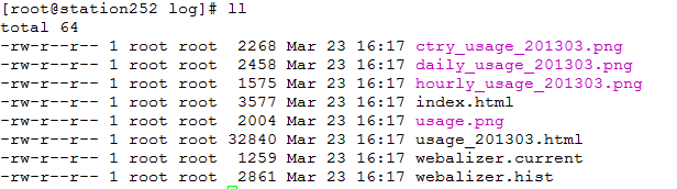 Webalizer及Awstats实现Apache日志分析监控_日志_06