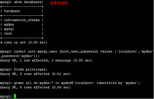 轻便的MYDNS_mydns+mysql_19