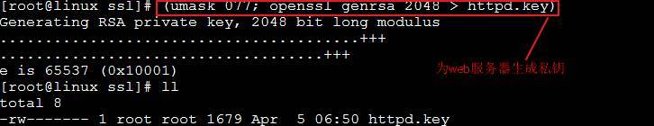 基于openssl实现C/S架构中的https会话_openssl_05