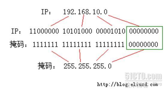 子网的划分_网络_02