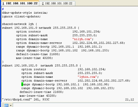 Dhcp  服务器的搭建_Dhcp_02