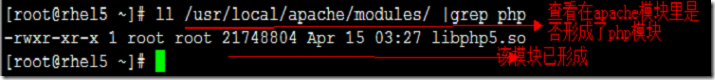 Lamp(linux redhat-5.4)环境的搭建_lamp环境搭建_22