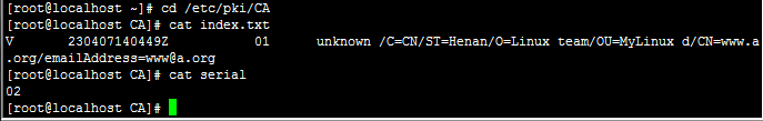 一步步实现Linux中的CA认证_CA认证_10