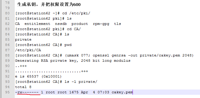 基于虚拟主机建立ssl会话_虚拟主机建立ssl_13