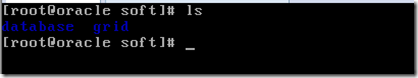 oracle linux 5.8安装oracle 11g rac 第三章：安装grid软件_oracle