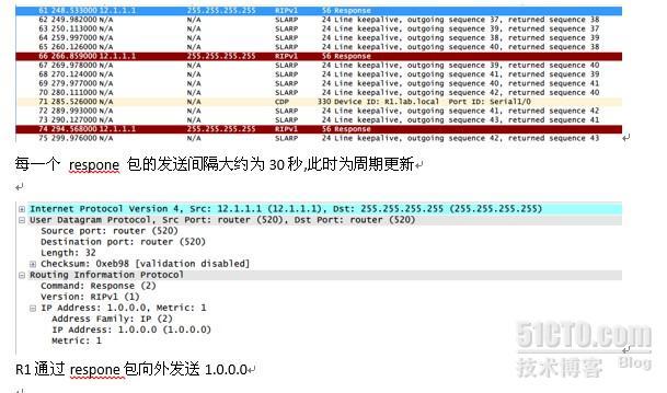 RIP 数据包类型 路由中毒_路由中毒_03