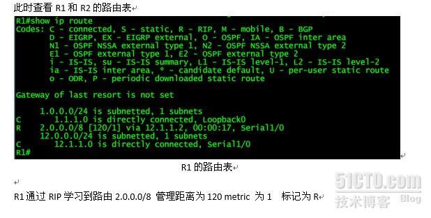 RIP 数据包类型 路由中毒_路由中毒_06