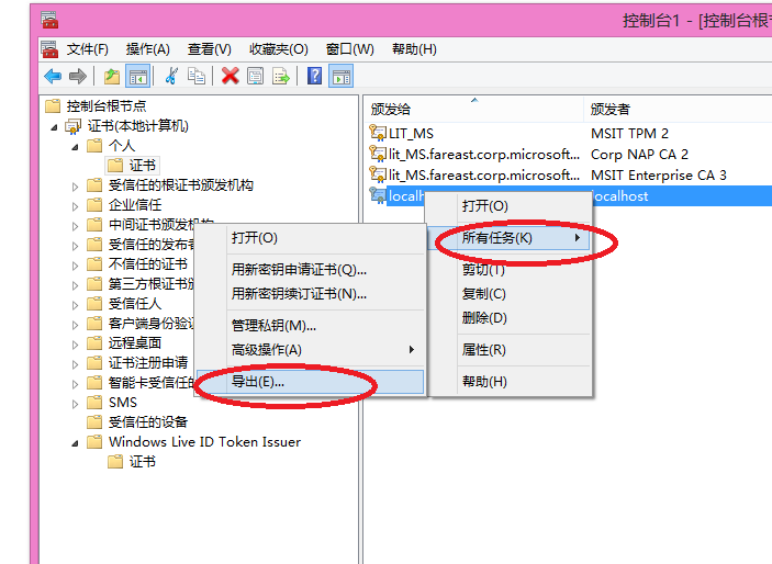 Windows Phone 8 企业应用部署指南（二）_企业应用部署_10