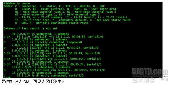 OSPF 虚链路_虚链路_04