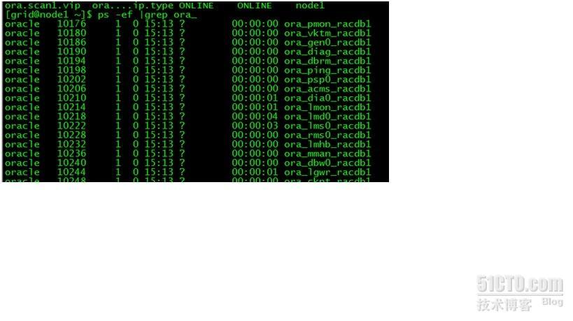 oracle 11g rac 环境（2）_oracle11g_10