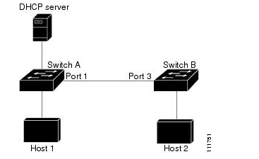 Ip dhcp snooping + ip arp inspection 的理解与应用_interface