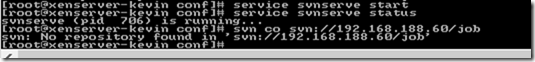 Linux下SVN安装与配置_authz_16