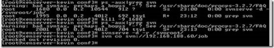 Linux下SVN安装与配置_svnserve.conf_21