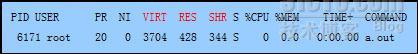 剖析top命令显示的VIRT RES SHR值_正确答案