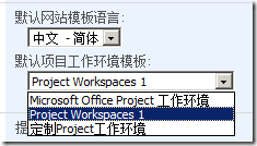 如何定制或修改Project Server 2007 项目工作环境模板_project server_11