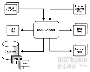 oracle sql*loader 的应用_SQL*Loader 的应用