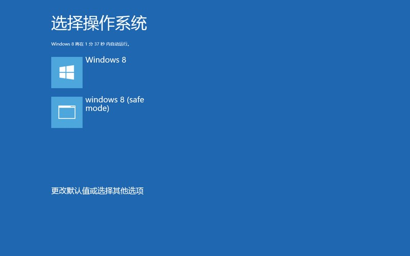 win8进安全模式_Microsoft_07