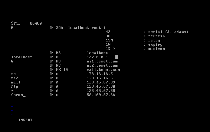 linux下构建主.从域名DNS服务器_IP地址_16