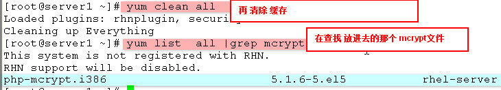 yum介绍及 基于yum服务器和客户端例子_其他_18