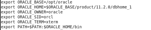 构建oracle 11g数据库_构建oracle 11g数据库_33