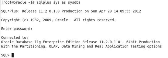 构建oracle 11g数据库_构建oracle 11g数据库_39