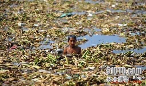 流量为王，垃圾也行，去TMD的价值_网站