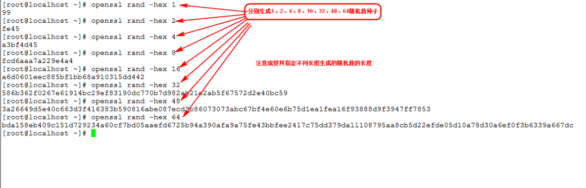 linux下创建CA以及颁发证书_服务器_14