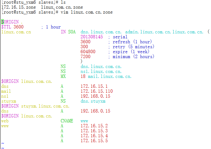 服务器配置之DNS服务器_linux DNS服务器 正方向解析 区_09