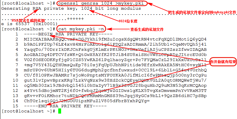 linux下创建CA以及颁发证书_应用程序_18