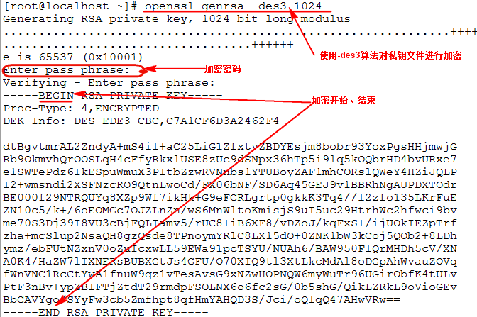 linux下创建CA以及颁发证书_standard_21