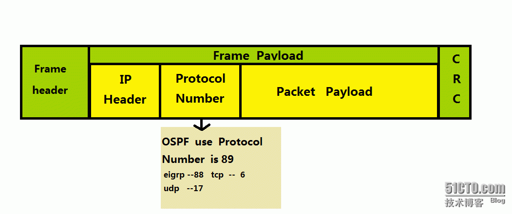 OSPF路由协议_路由表