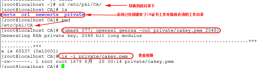 linux下创建CA以及颁发证书_应用程序_26