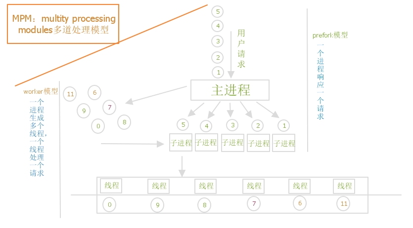 linux上的web服务器搭建_web服务器