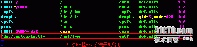 Linux下实现LVM_linux文件系统_21