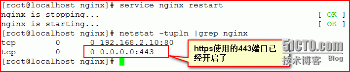 Nginx的安装并实现web功能_nginx_23