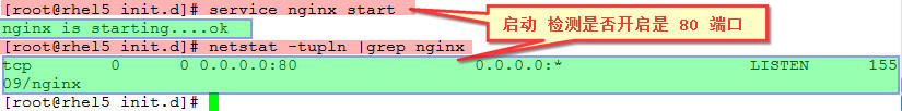 Nginx 安装及配置_Nginx_21