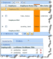 DataForm.NET_应用程序