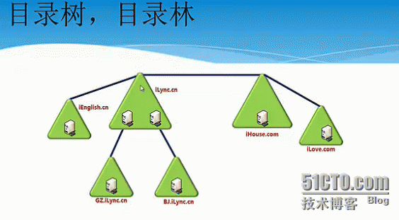 看图猜树、林和域_记录