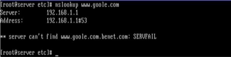 搭建DNS服务器_DNS_07