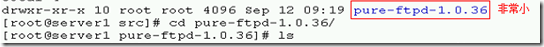 PURE-FTP服务器的搭建_blank_13