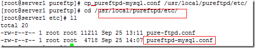 PURE-FTP服务器的搭建_target_47