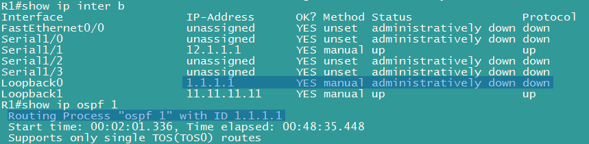 OSPF Router-ID的选择_OSPF_06