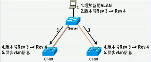 VLAN的配置_网络 Vlan_06