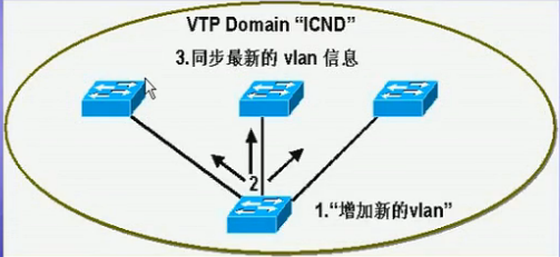 VLAN的配置_网络 Vlan_05