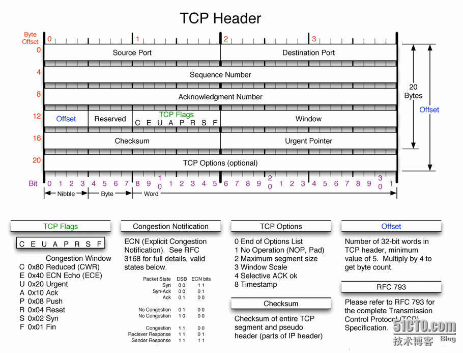 TCP IP 头部_IP