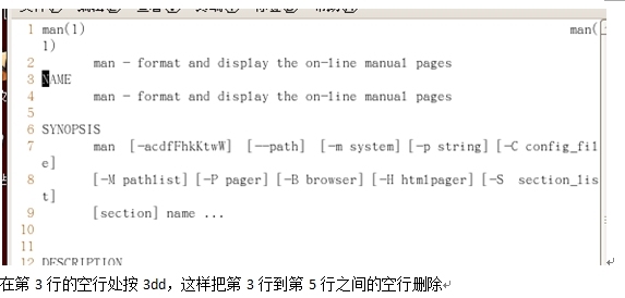 Linux目录与文件的操作练习（二）_解压操作_15