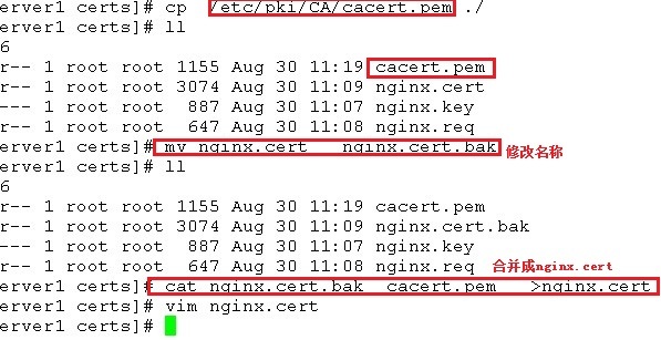 linux下nginx的安装及配置！_反向代理服务器_15