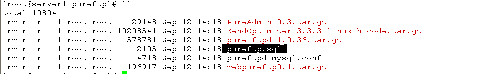 linux下搭建pureftp服务器_搭建pureftp_08
