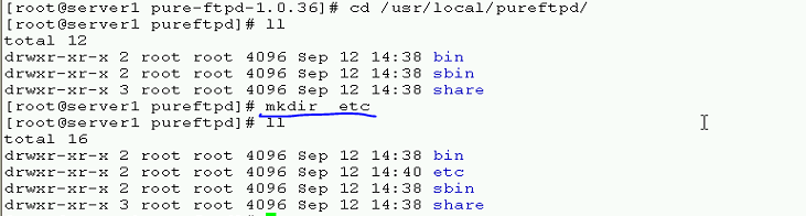 linux下搭建pureftp服务器_服务器_17