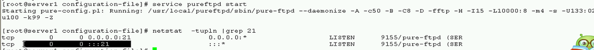 linux下搭建pureftp服务器_搭建pureftp_25
